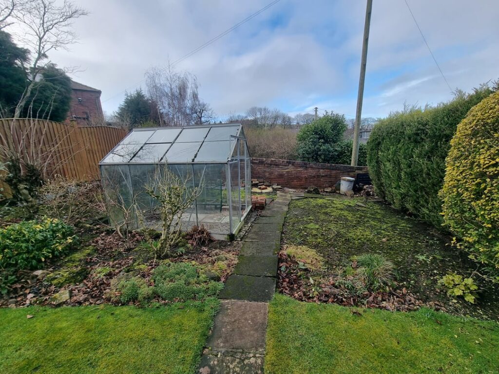 Newbie Looking for Advice