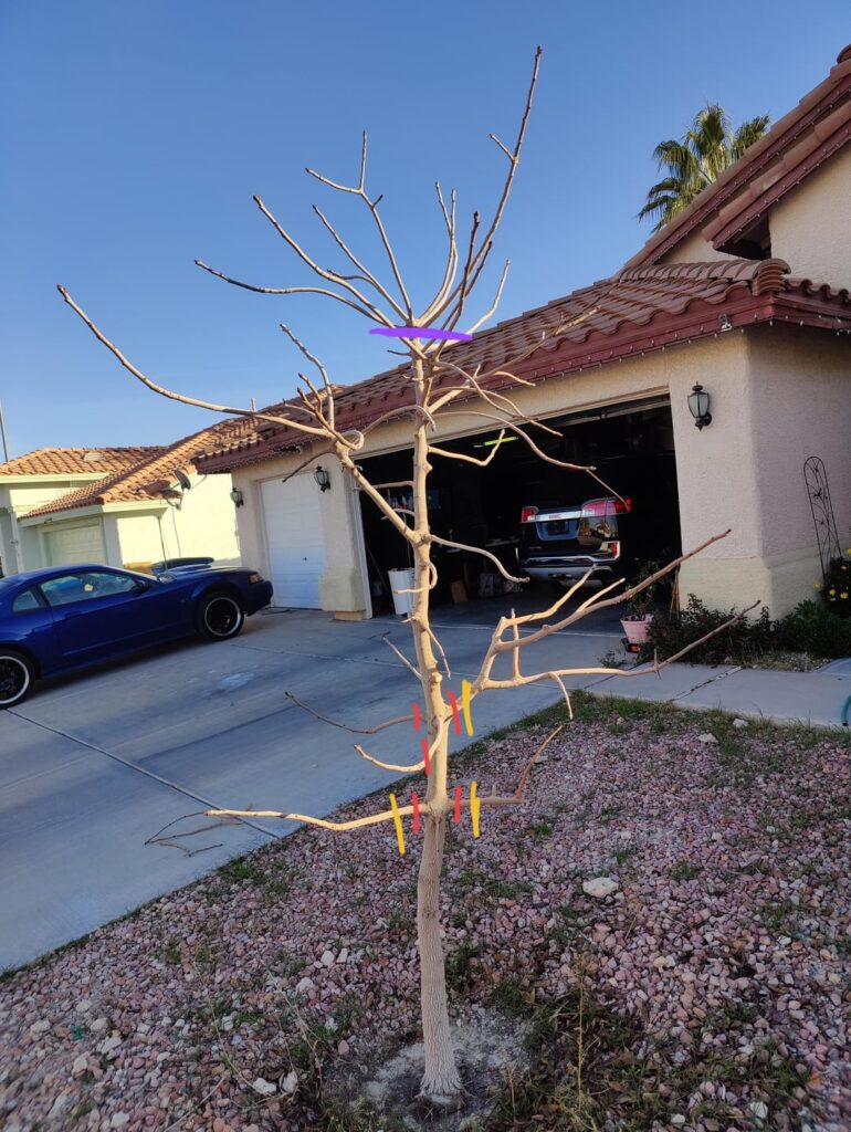 Tree pruning questions again Tree pruning questions again