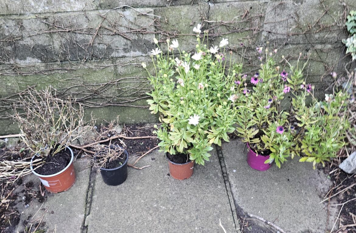 Storing these to survive winter