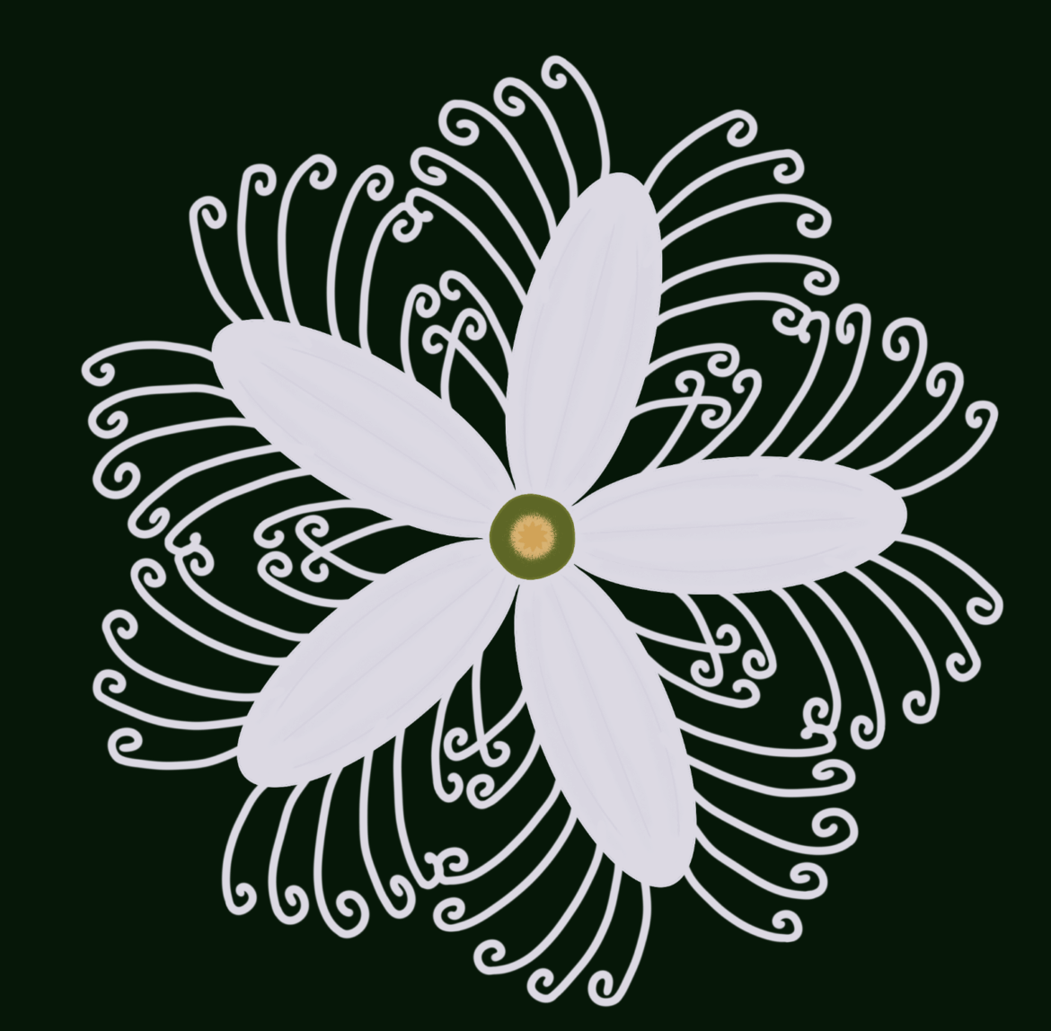 White flower with tendrils (like a passionflower?)