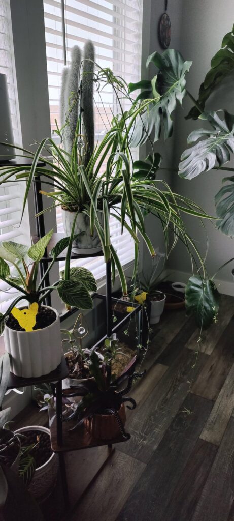 Teen mom keeps having babies