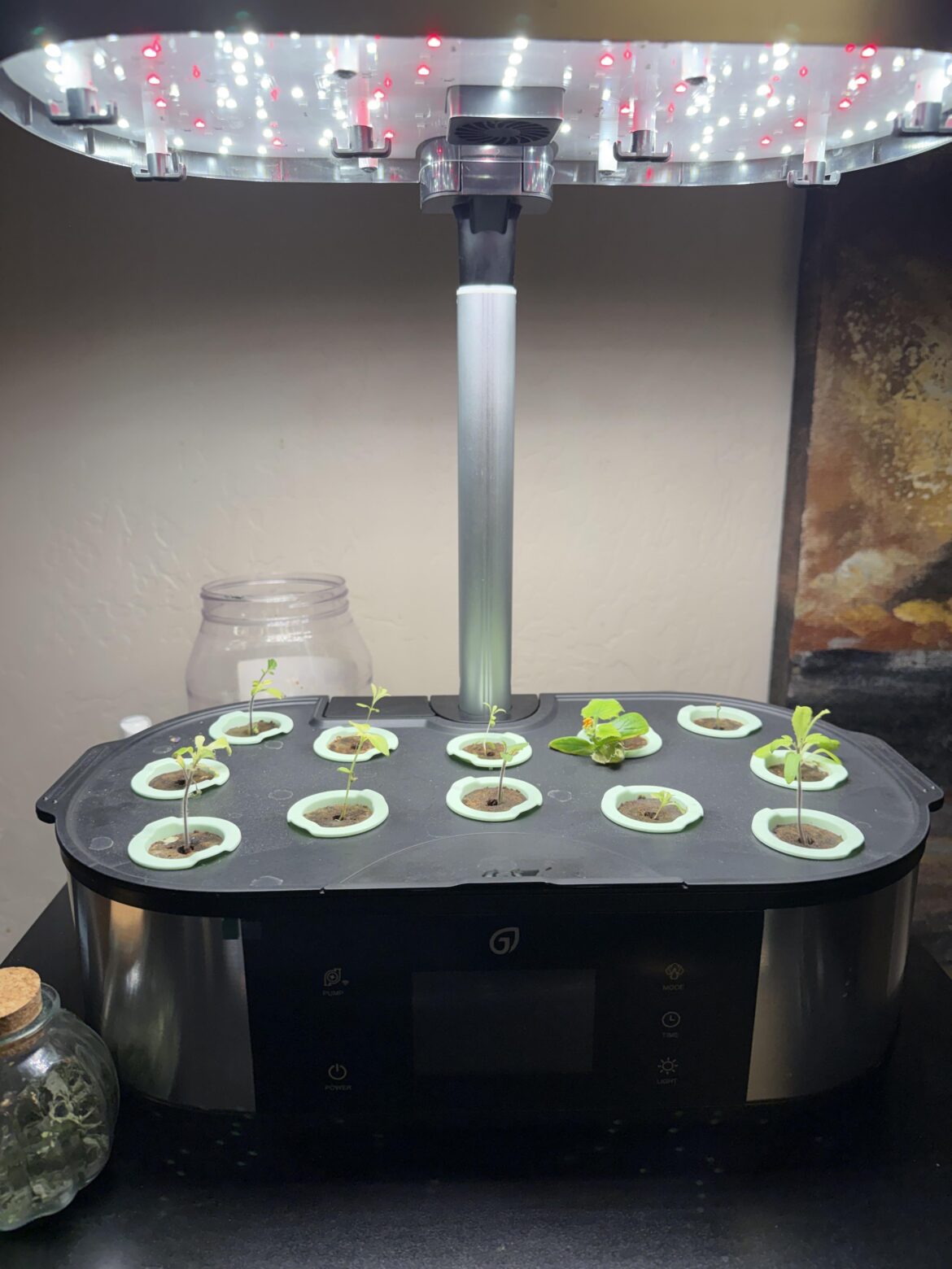 I’m not good at this game