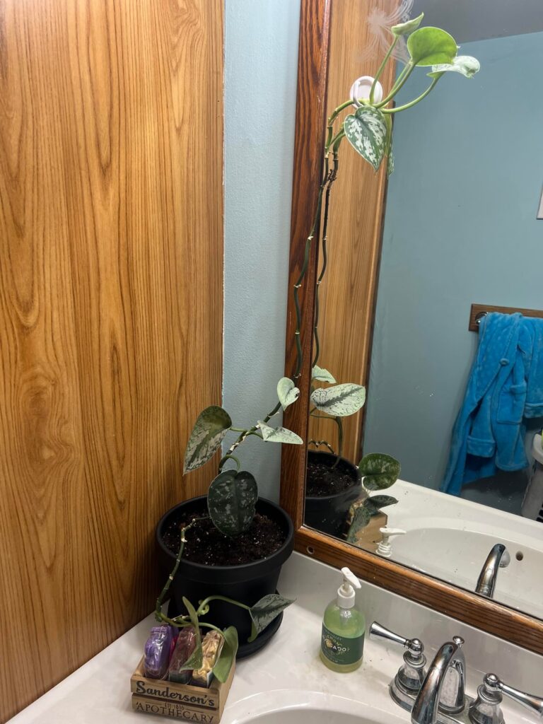 Advice needed.. thank you