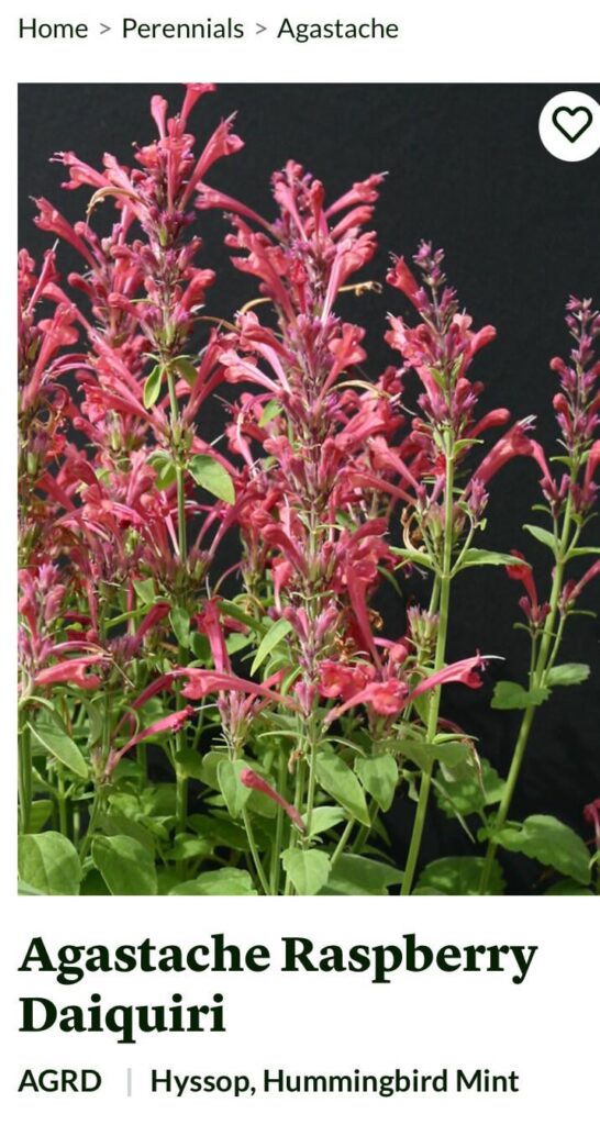 Looking forward to Spring!