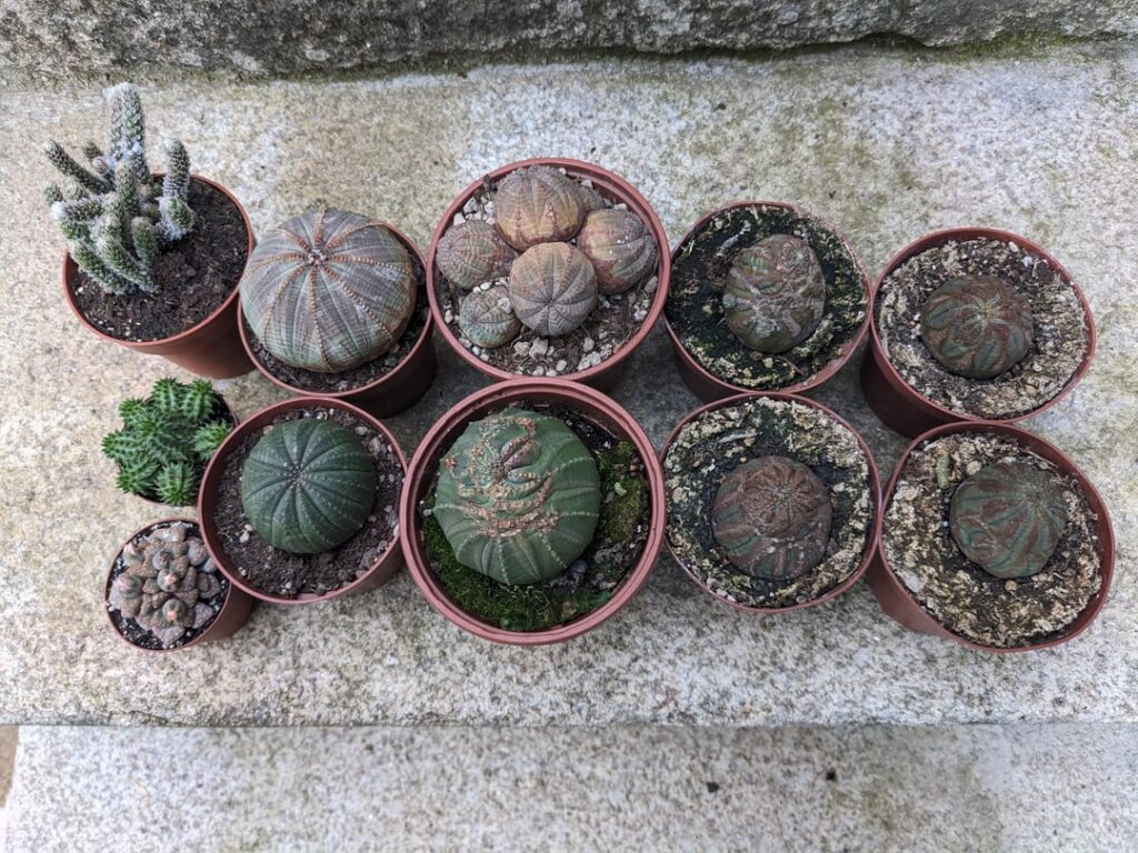 Today’s mail! Today's mail!