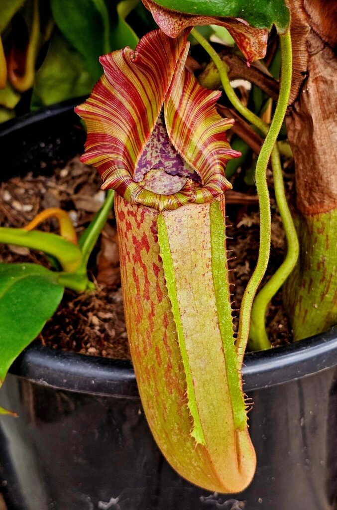 Sunny Sunday snapshots