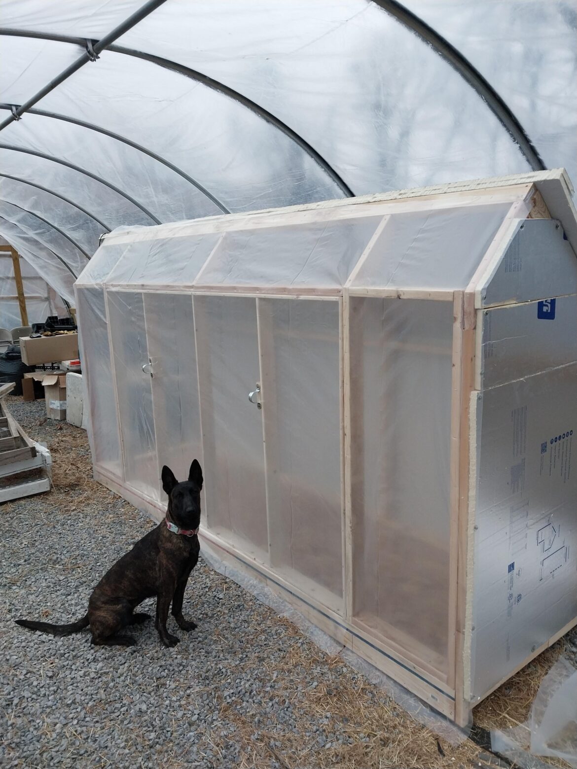 Greenhouse within a greenhouse Greenhouse within a greenhouse