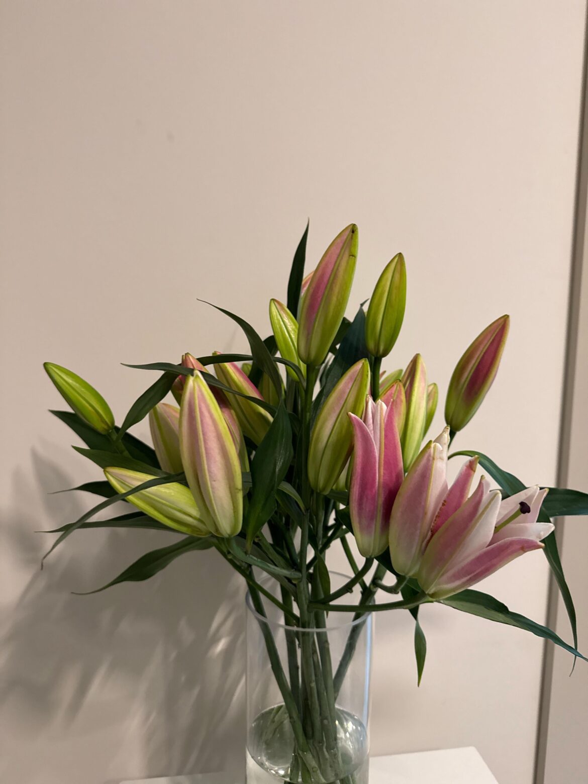 How to make sure they open up by SATURDAY morning ??