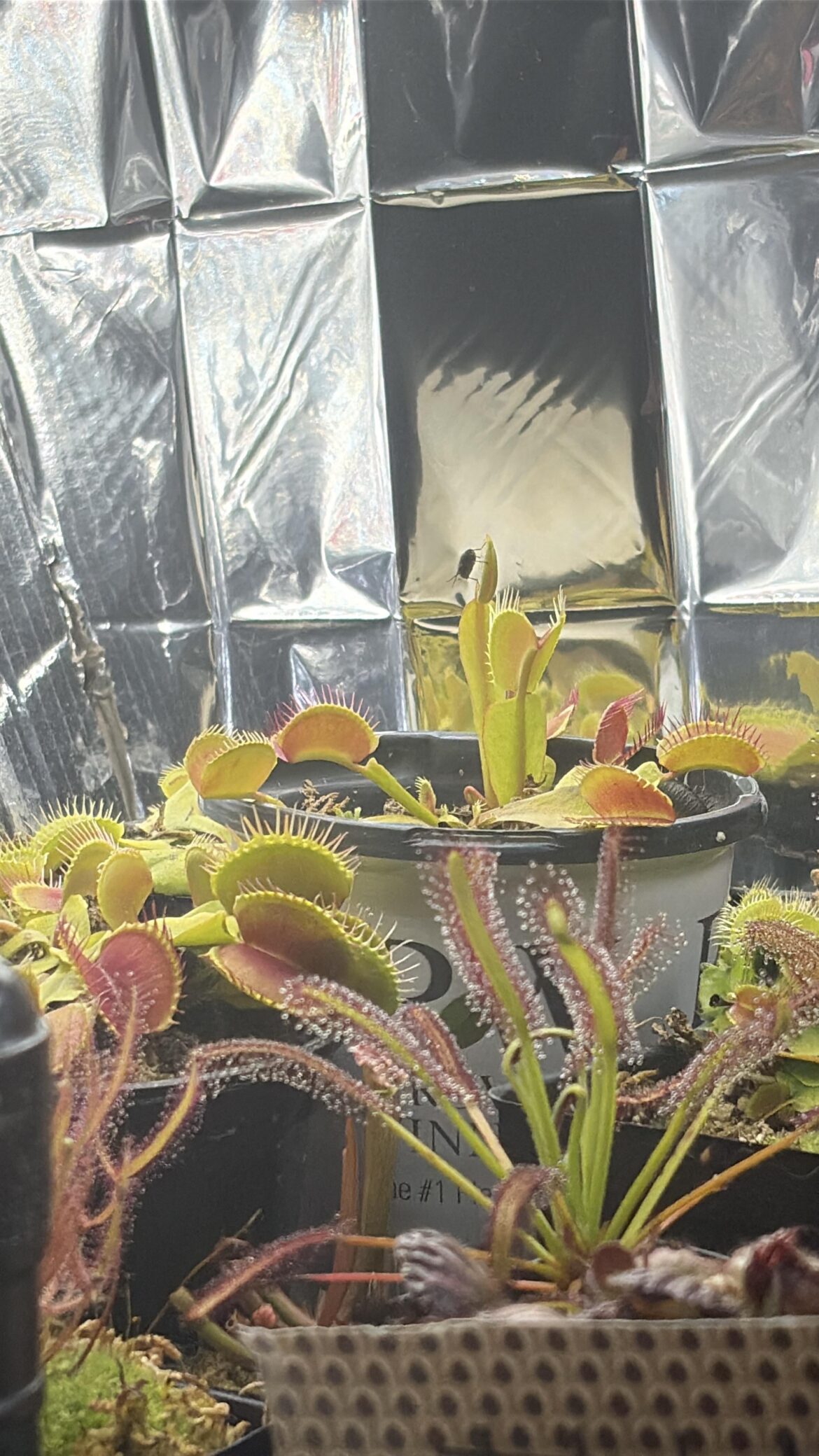 Deep in enemy territory