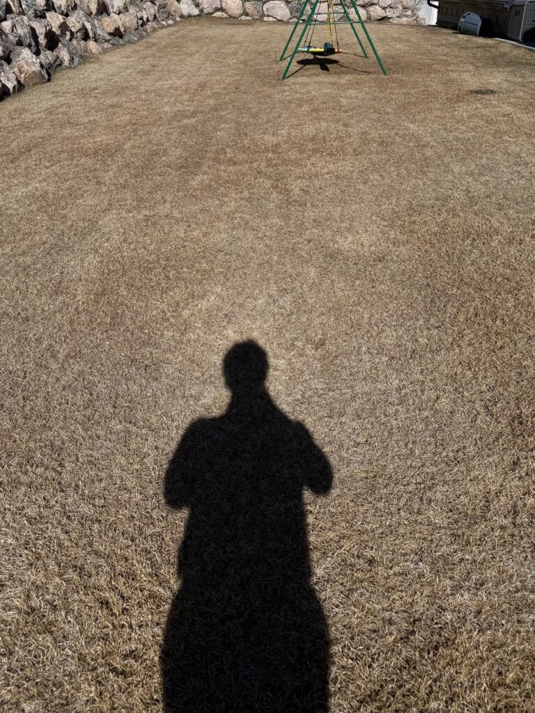 Warm Winter This Year. How’s my Lawn?