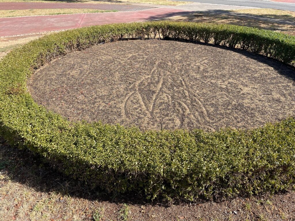 Plant Recommendations for Front Yard Plant Recommendations for Front Yard