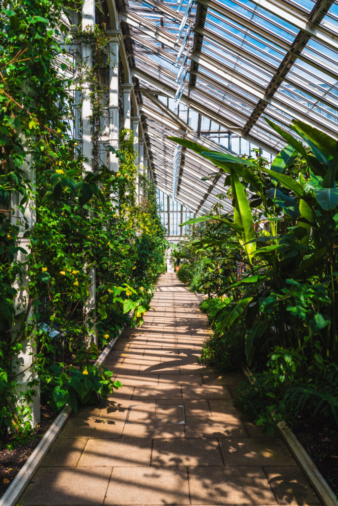 temperate glasshouse kew gardens