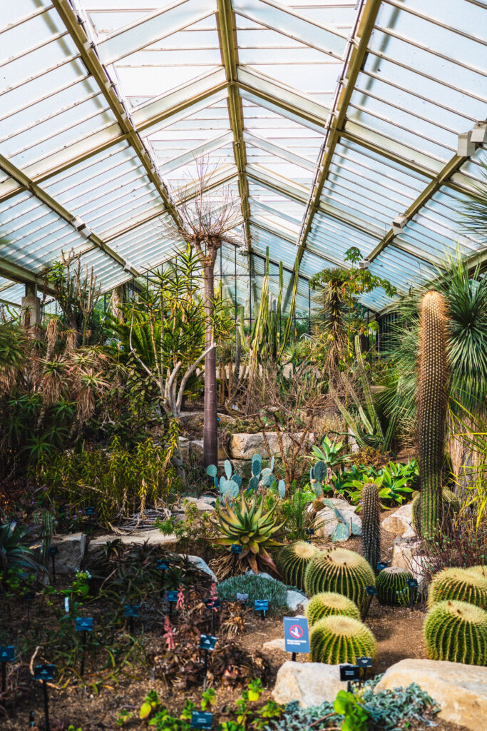 princess of wales glasshouse