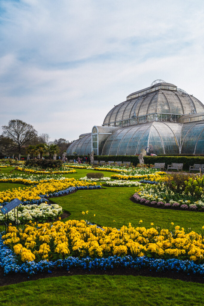 palm house kew gardens