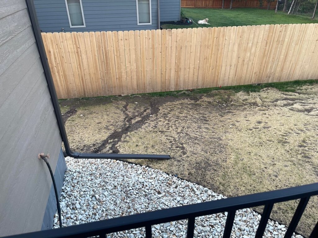 Need advice on 1 year old lawn