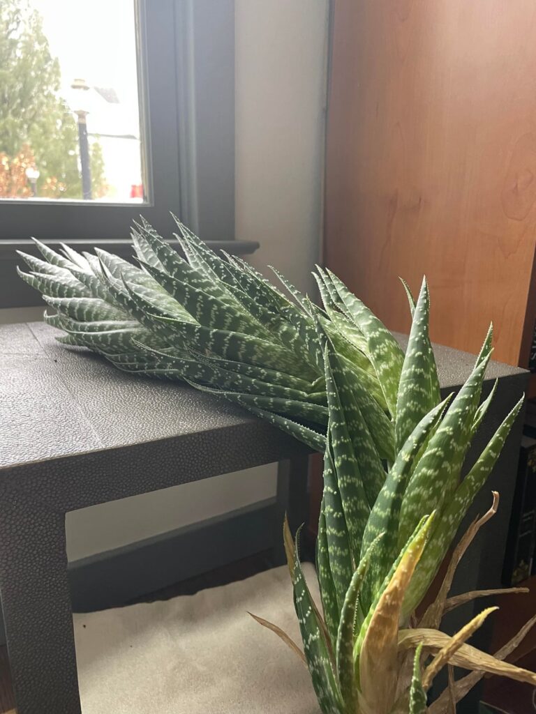 Help please. What does it want?