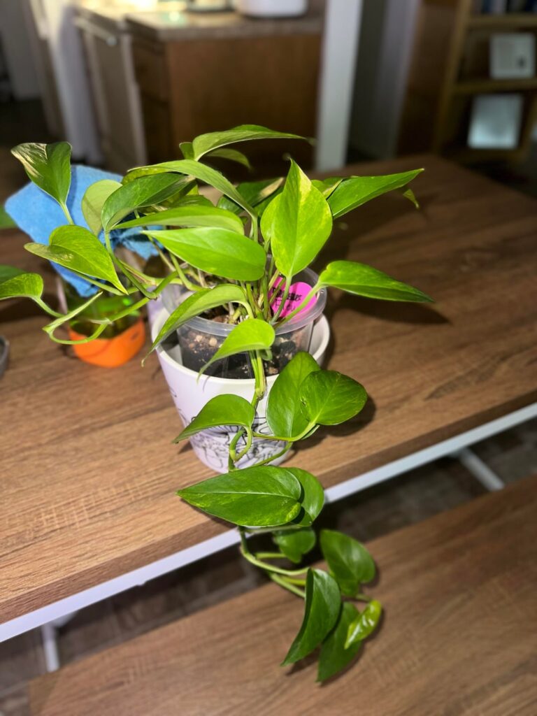 What does she need?? What does she need??