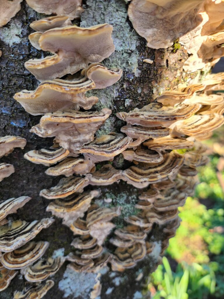 Is this a terrible sign?