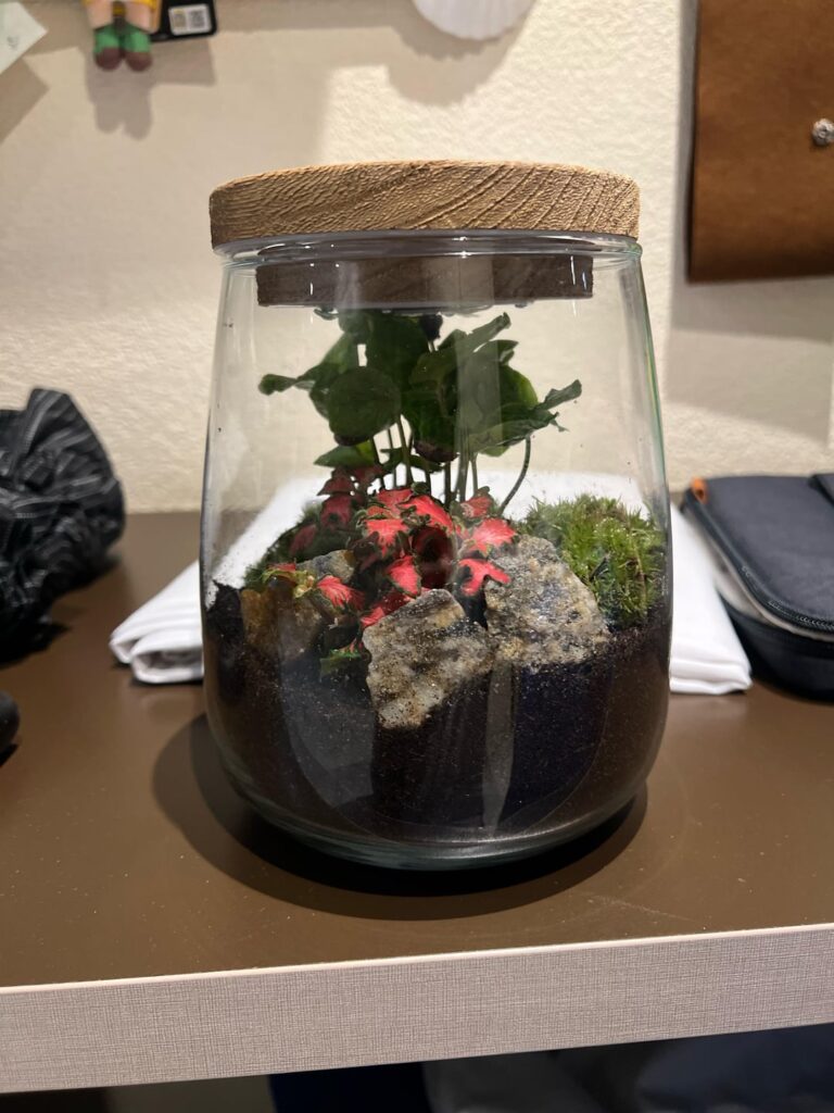 New here. This is a gift from my parents. Any advice on how improve/keep this?