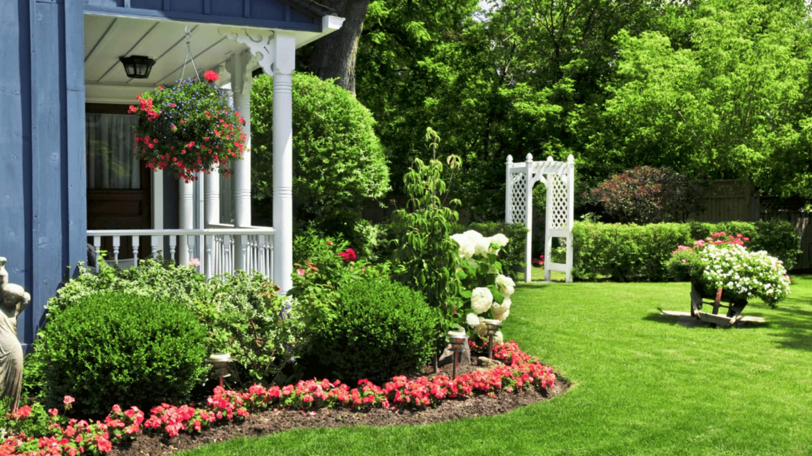 Want to start gardening but are stuck? AI can help Want to start gardening but are stuck? AI can help