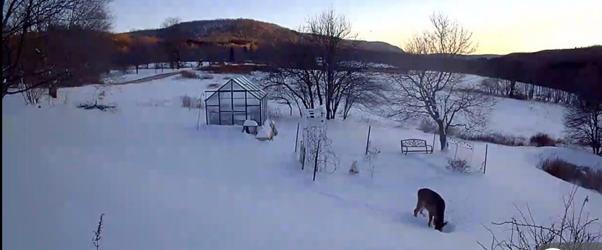 Heater Recommendations Heater Recommendations