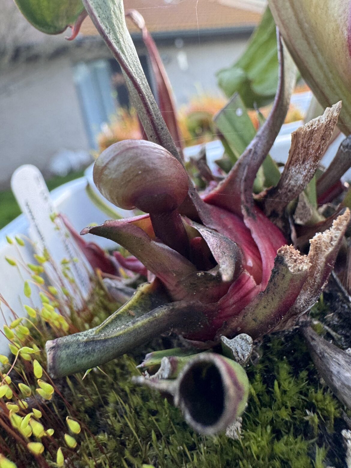 A first for me A first for me