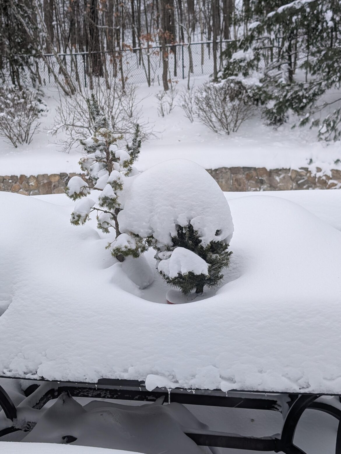 Who needs wire when you have 20 pounds of frozen structural support?