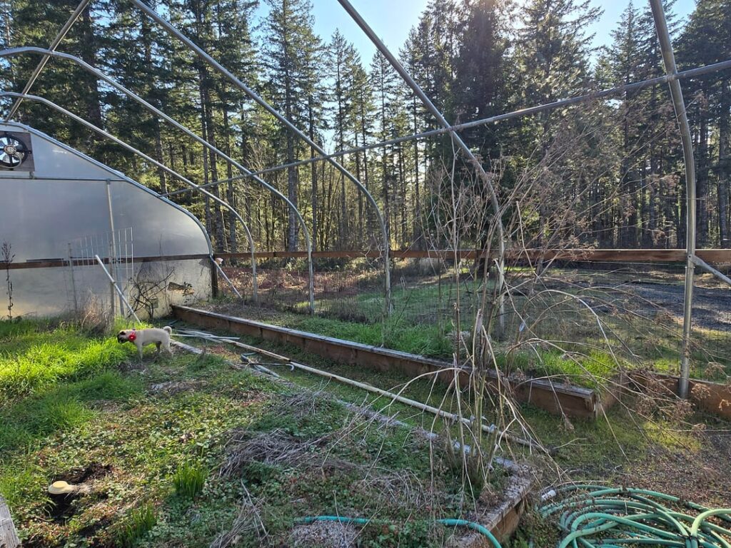 What Do I Do with Abandoned Soil? What Do I Do with Abandoned Soil?