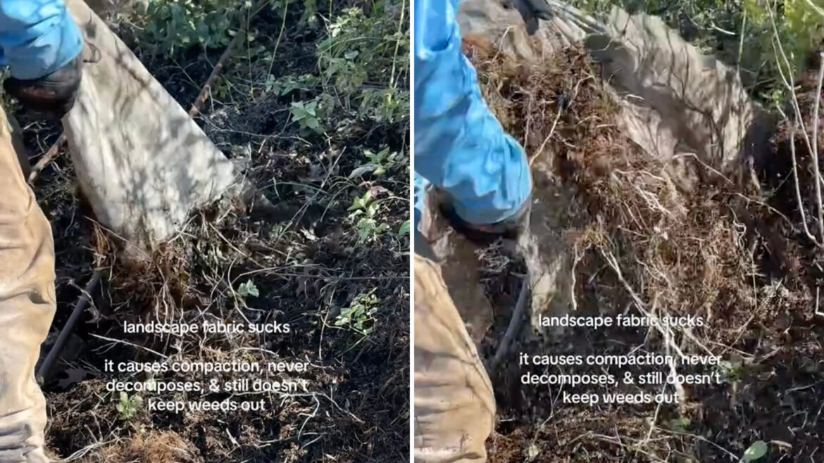 One gardener shared a viral TikTok explaining why landscaping fabric is terrible — and how you should avoid it.