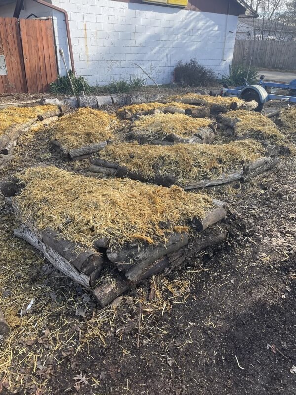 One Reddit user showed off their incredible natural garden after converting a parking lot and lawn.