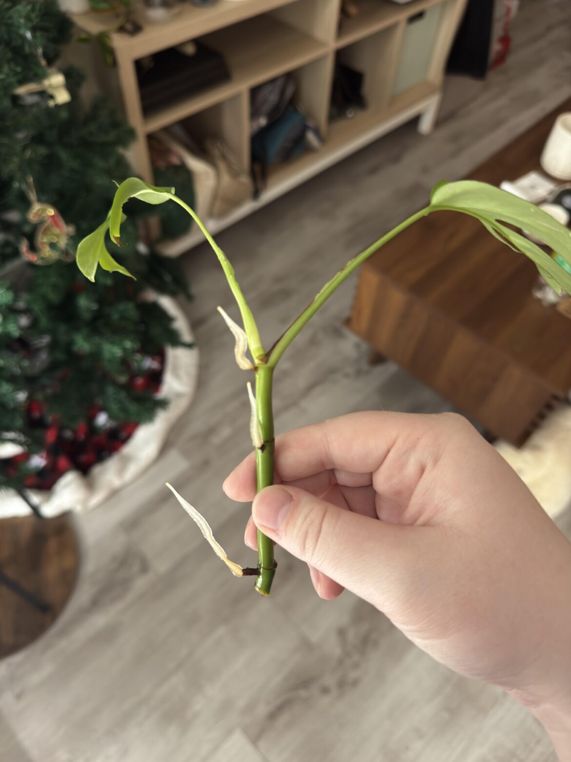 Not sure what to do with this 😠Not sure what to do with this ðŸ˜