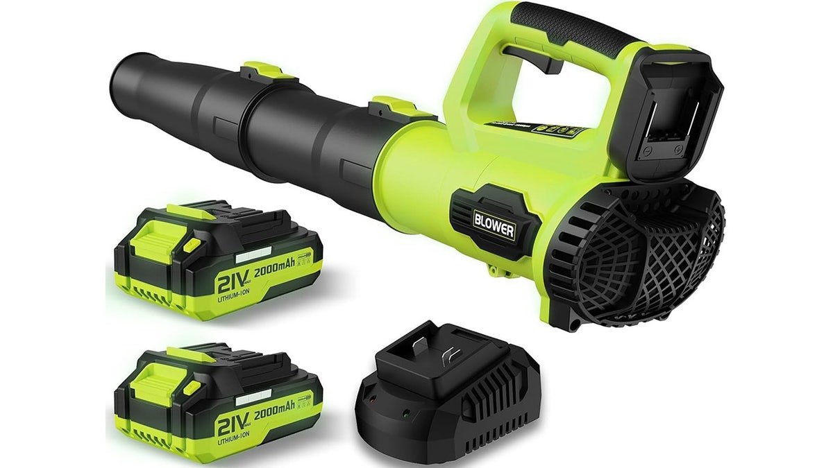 When the ground dries up, use this electric leaf blower.