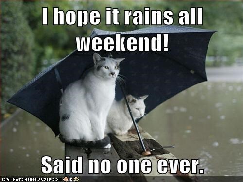 lets-keep-our-paws-crossed.jpg lets-keep-our-paws-crossed.jpg