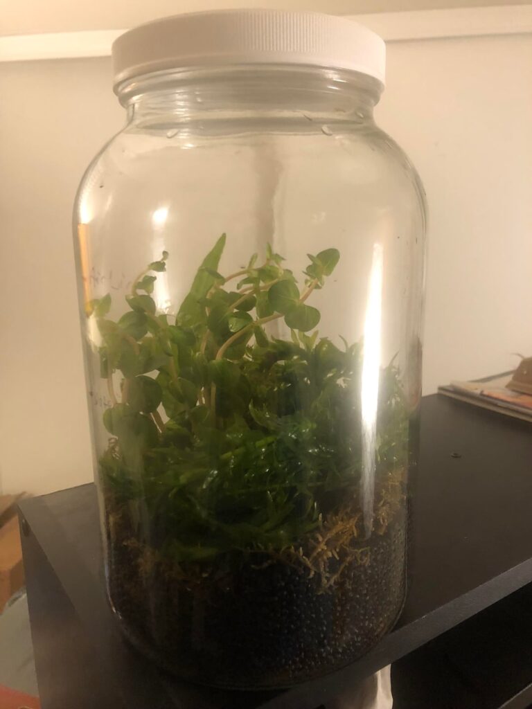 Should I lower the Substrate line?