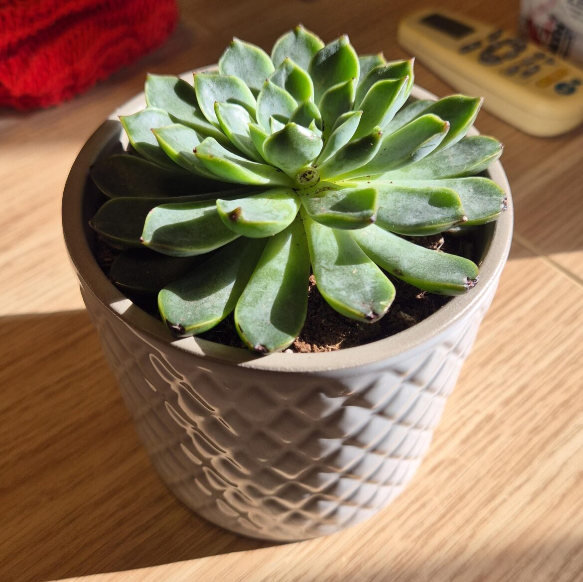 Just got this gifted to me what should I do?