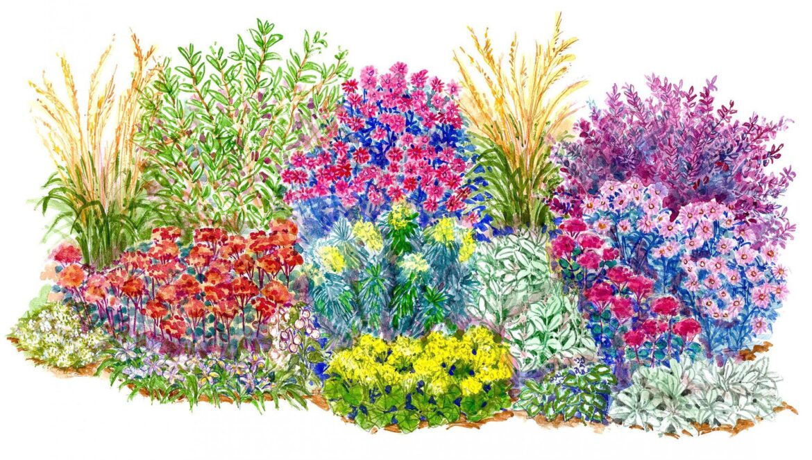 15 No-Fuss Garden Plans Filled with Plants That Thrive in Full Sun