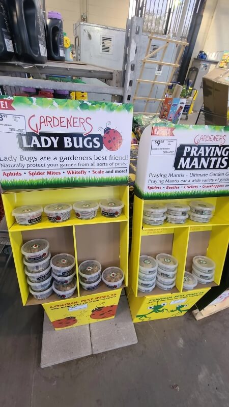 One Redditor was appalled at seeing practically dead ladybugs sold for $9 at Lowe's.