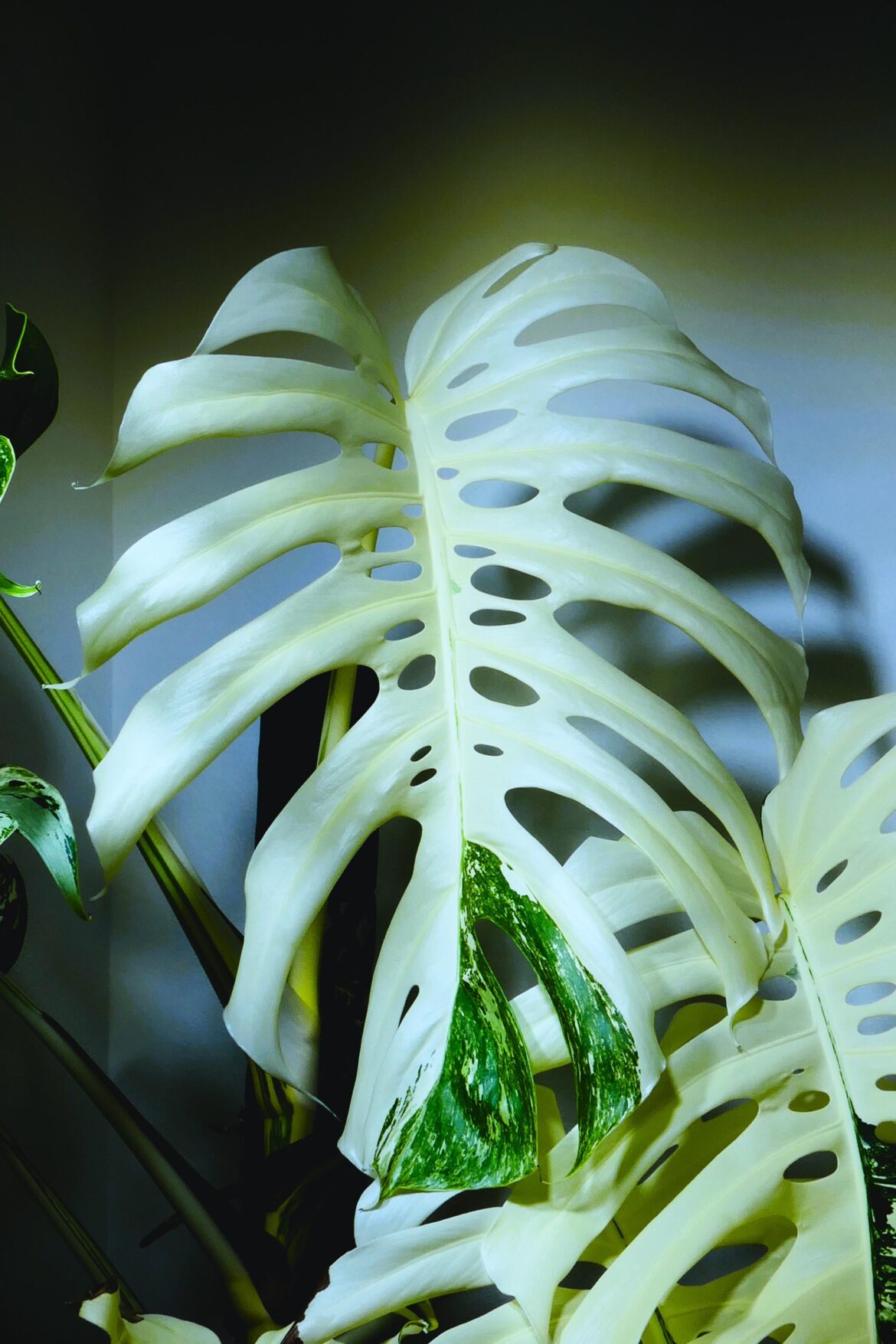 She's making me anxious...