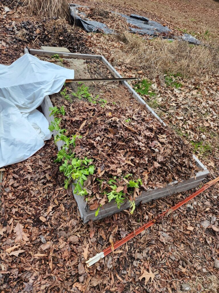 Diakons made it through the winter storm!