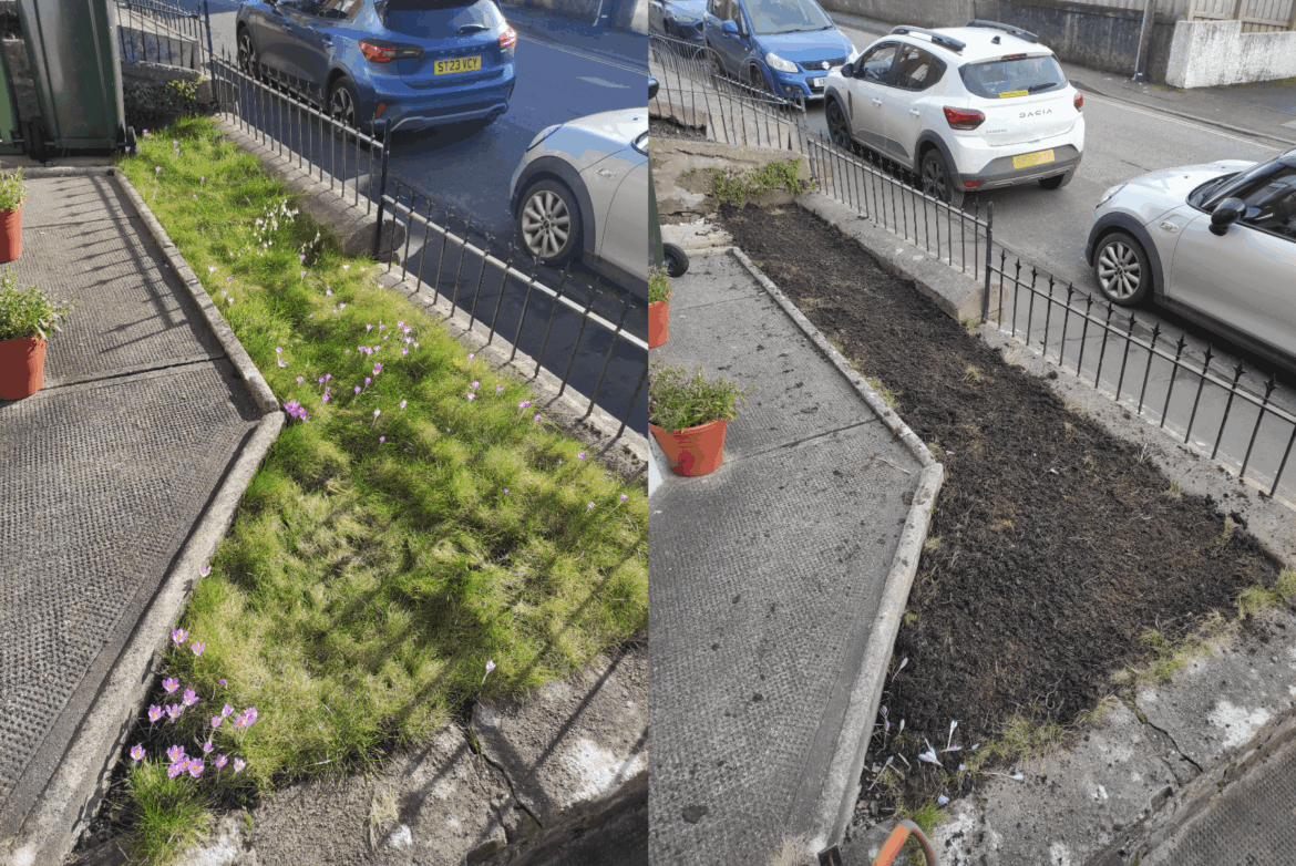 Finally bought our first home in 2025, not experienced enough to tackle the backgarden yet, so I thought I’d get started on this strip outside the front. I’m sowing white clover, but tips and advice on planting it are welcomed—I’m very green! 🌷🌻🌺 Finally bought our first home in 2025, not experienced enough to tackle the backgarden yet, so I thought I'd get started on this strip outside the front. I'm sowing white clover, but tips and advice on planting it are welcomed—I'm very green! 🌷🌻🌺