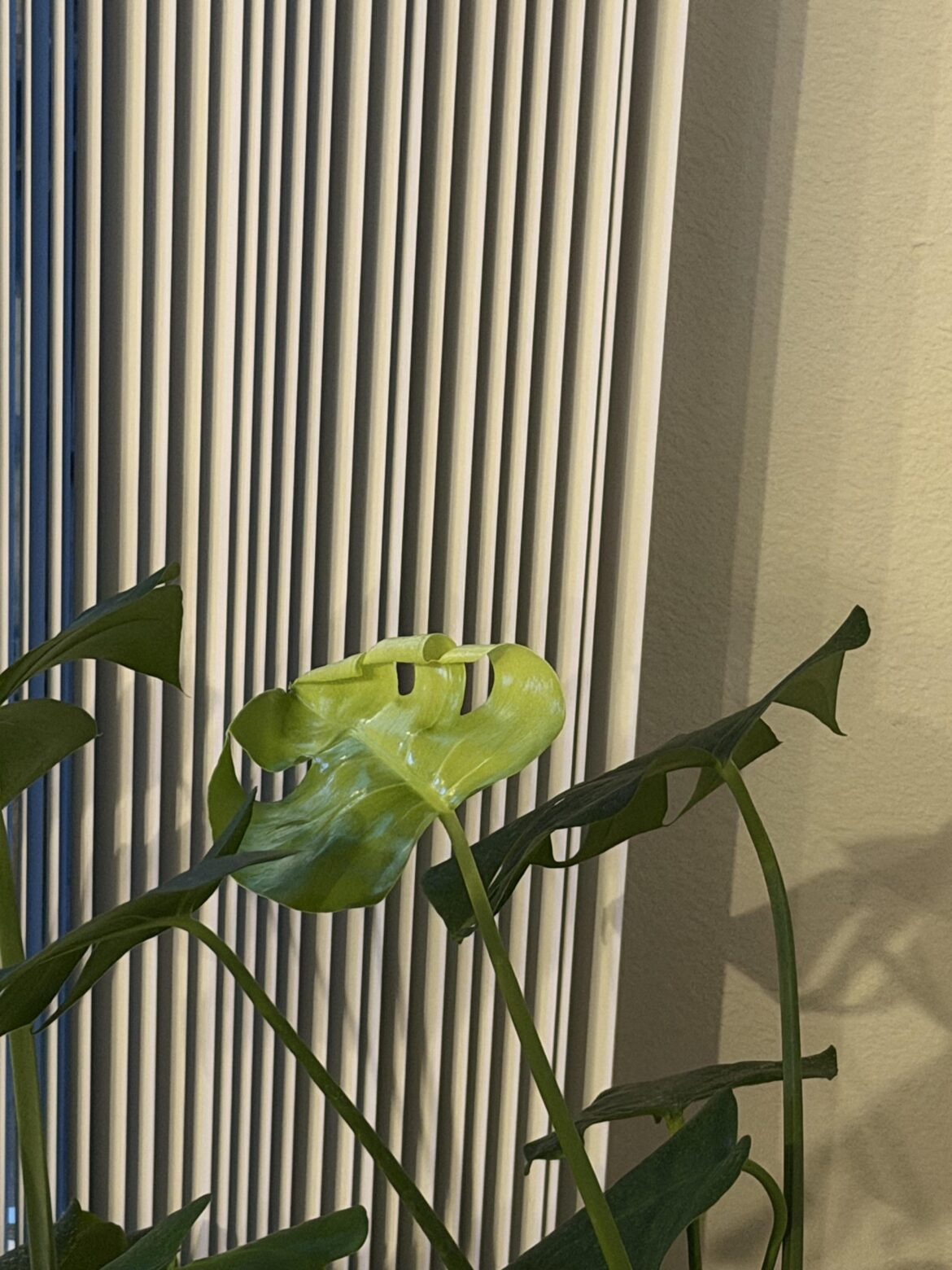 I hope it stays like this