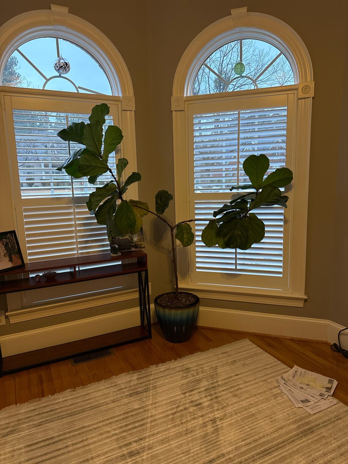 FLF from estate sale
