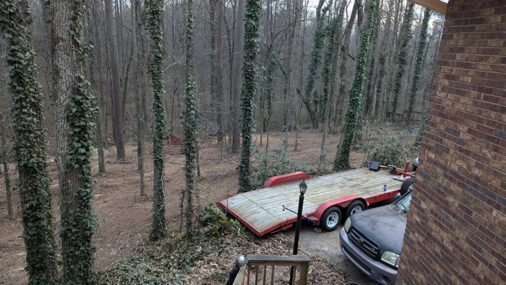 Ideas for my Forrest lot