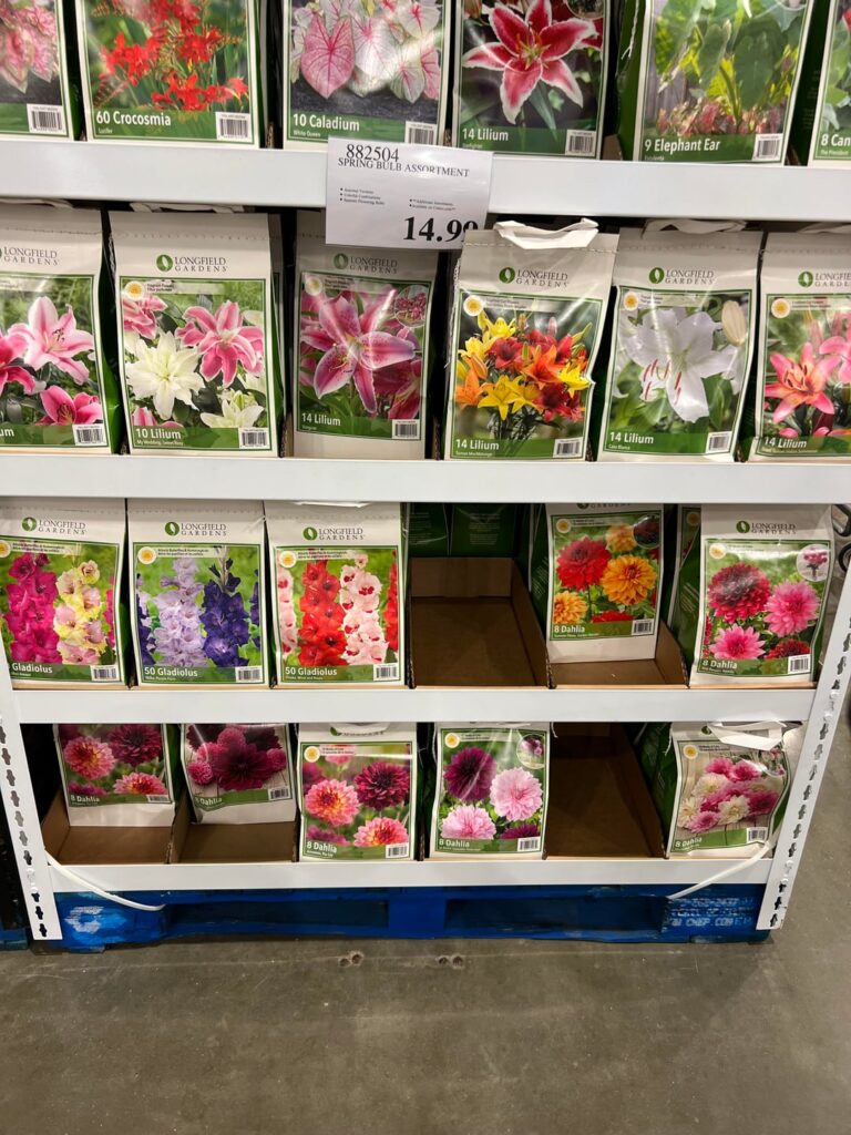 Don’t walk, run to Costco!