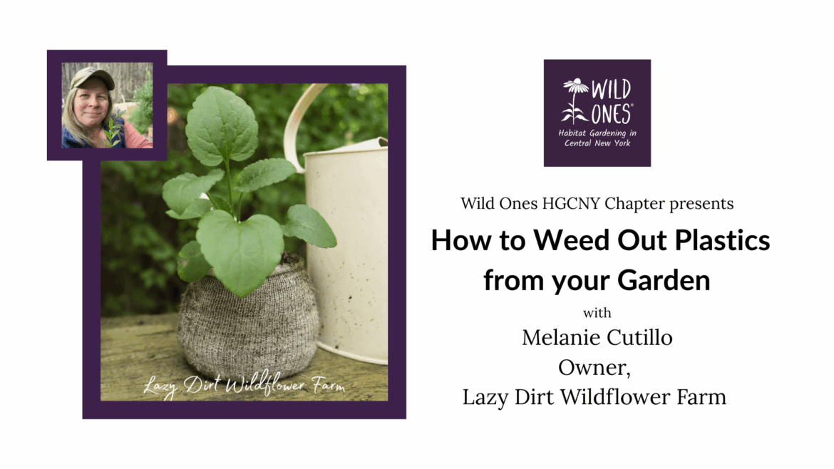 Reminder! This Sunday, February 22 at 1:30pm ET Wild Ones HGCNY Presents: How to Weed Out Plastics from Your Garden – Liverpool Public Library, 310 Tulip St, Liverpool NY (In-Person + Free Zoom) Reminder! This Sunday, February 22 at 1:30pm ET Wild Ones HGCNY Presents: How to Weed Out Plastics from Your Garden - Liverpool Public Library, 310 Tulip St, Liverpool NY (In-Person + Free Zoom)