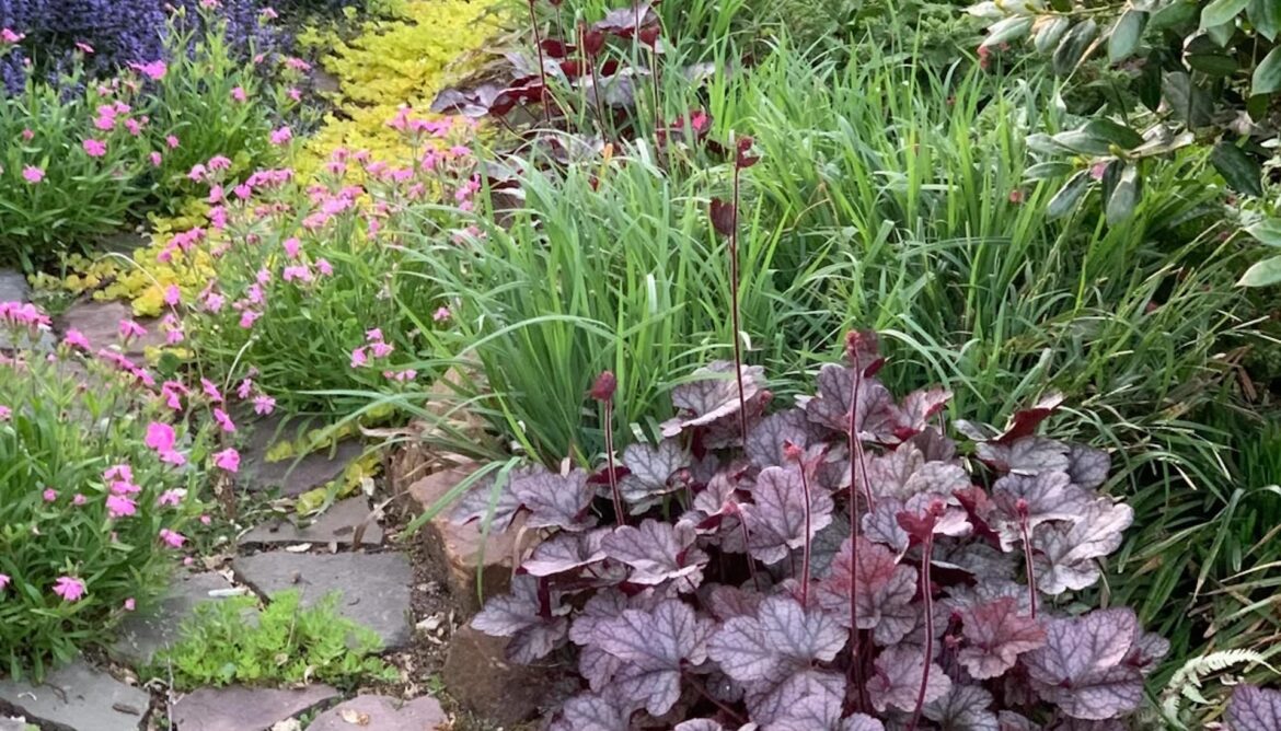 A former property owner posted vibrant photos of a lush garden they had to leave behind and said "missing my garden."