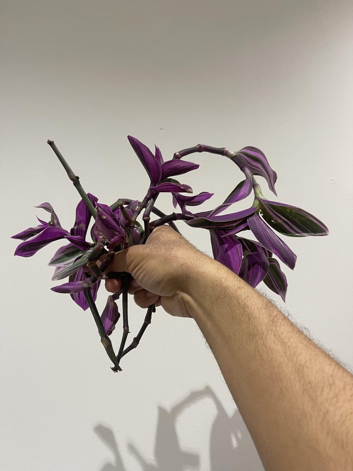 The upside of having back to back crazy weather