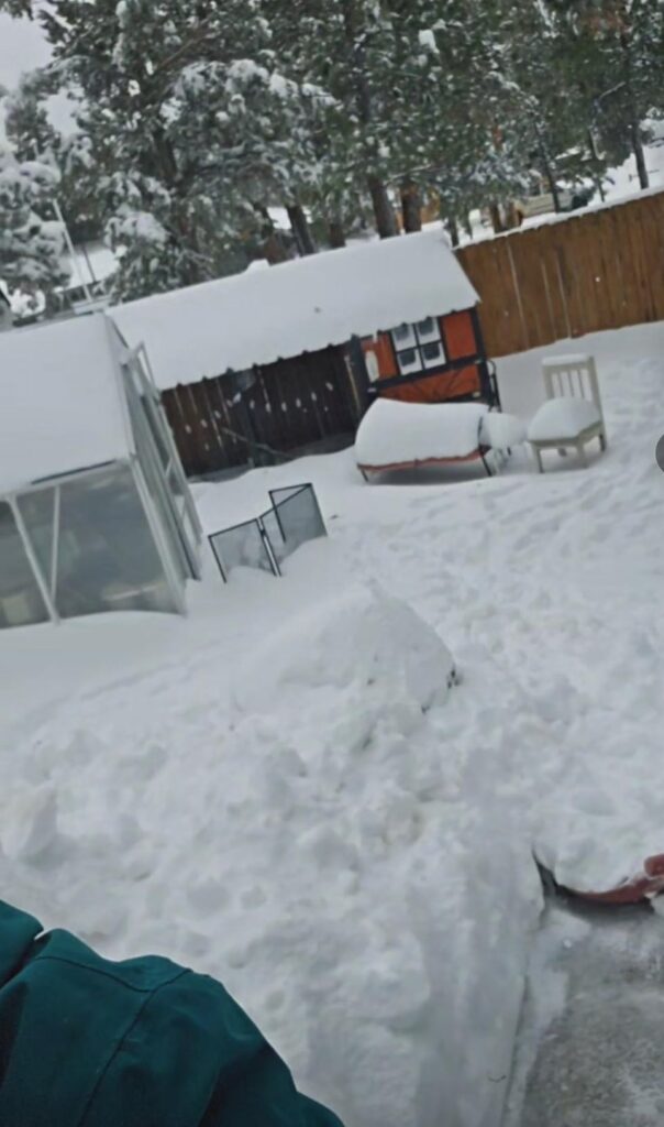 Winter finally decided to make an appearance