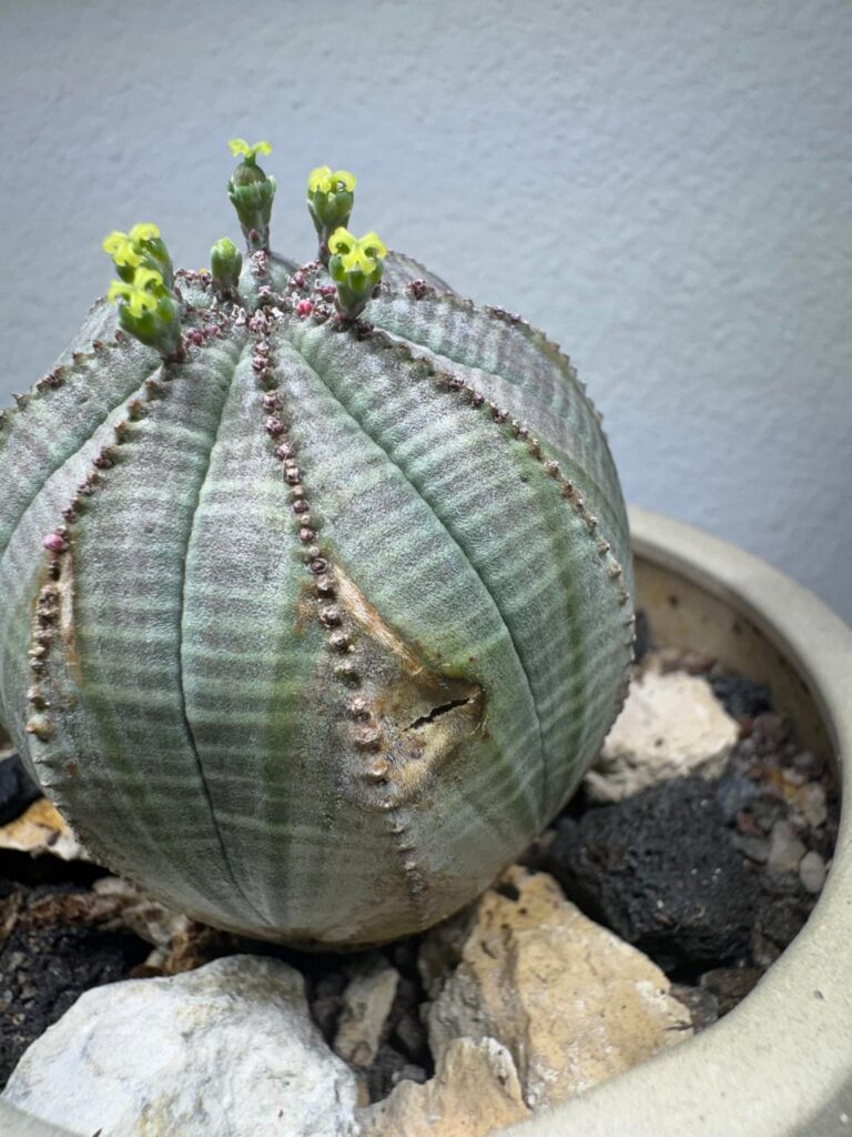 Should I be concerned?