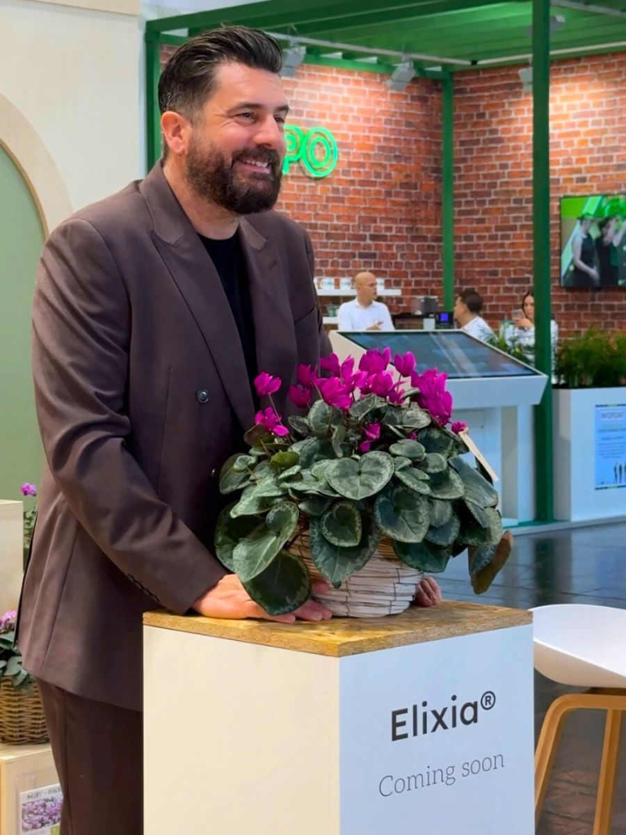 mr. plantgeek with ELIXIA Cyclamen by Morel 